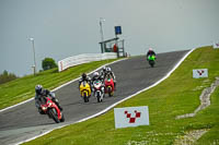 anglesey;brands-hatch;cadwell-park;croft;donington-park;enduro-digital-images;event-digital-images;eventdigitalimages;mallory;no-limits;oulton-park;peter-wileman-photography;racing-digital-images;silverstone;snetterton;trackday-digital-images;trackday-photos;vmcc-banbury-run;welsh-2-day-enduro